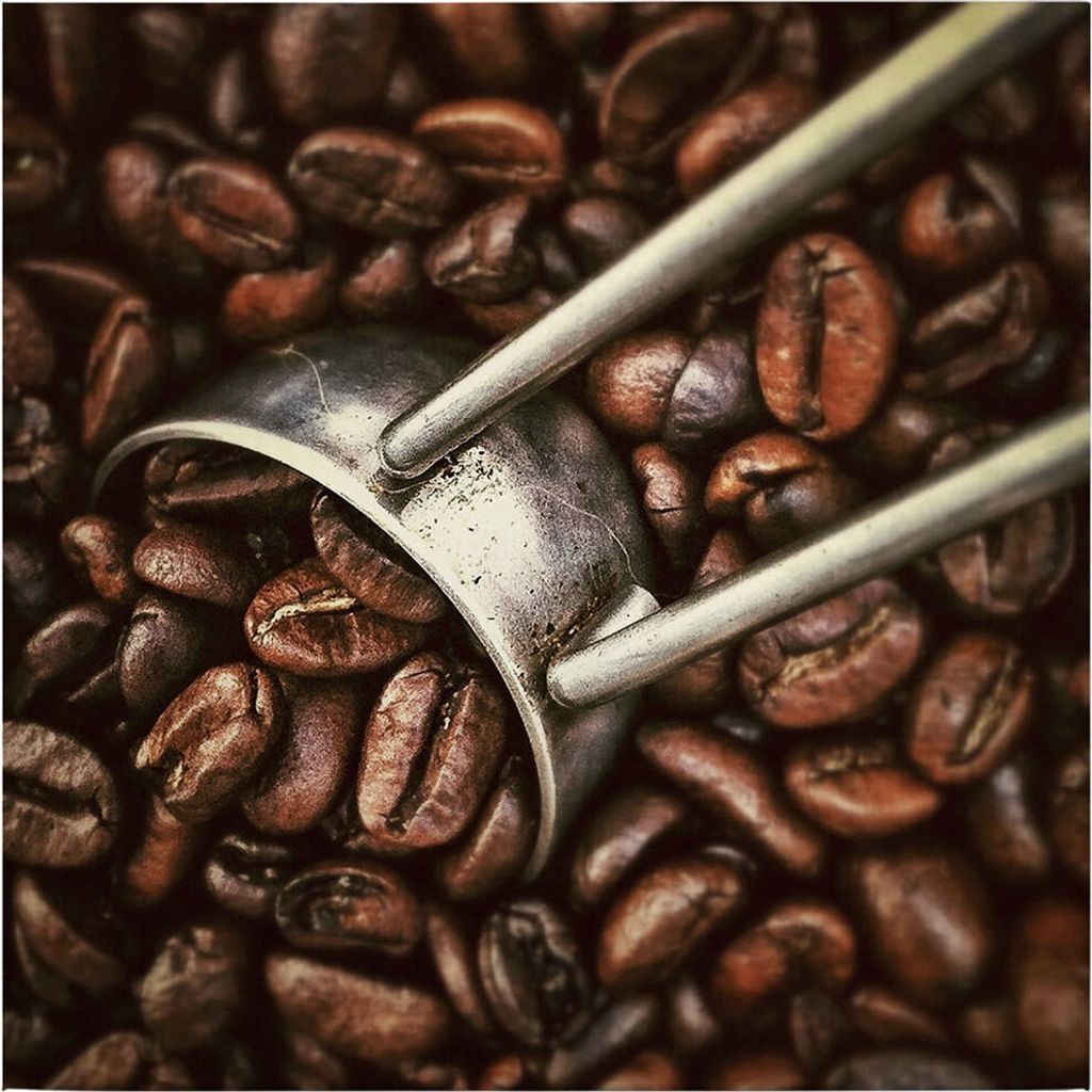 Leinwandbild Essen Trinken 50 x 50 cm - Wandbild Braun Grau - Keilrahmen Kaffeebohnen Wohnzimmerdeko Wanddeko Wandgemälde