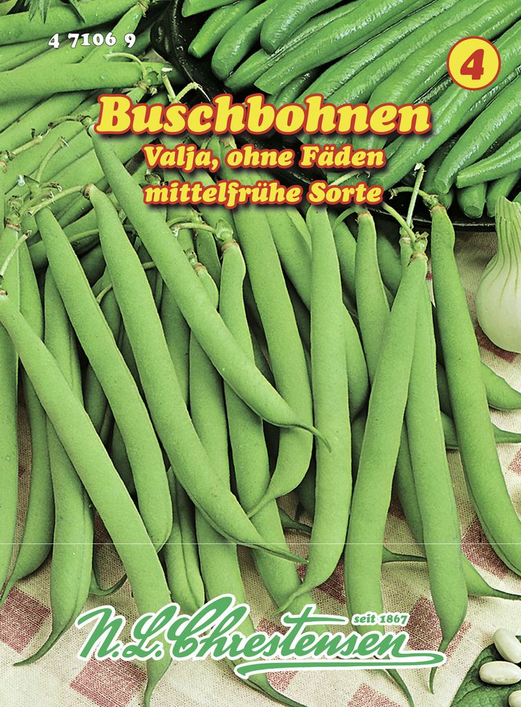 Buschbohne Valja | Buschbohnensamen von N.L. Chrestensen