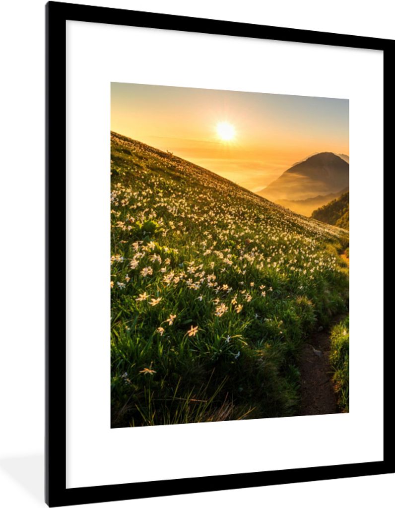 MuchoWow® Gerahmtes Poster Blumen - Sonne - Berge 60x80 cm Produktbild 