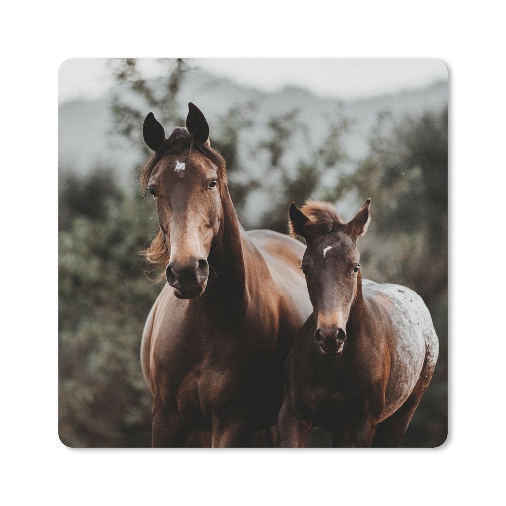 MuchoWow Mauspad Mousepad Pferde - Wald - Berge 20x20 cm - Mousepads - Maus Mat - Pad - Mausunterlage - Desk Mat - Bureauartikeln