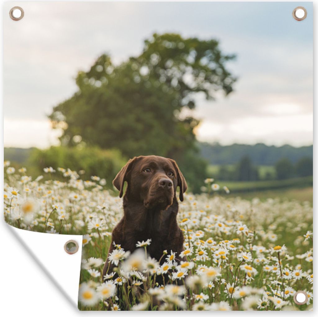 MuchoWow 100x100 cm Outdoor-Poster Gartendeko Sichtschutz Garten Poster für den Garten Hund - Blumen - Wiese