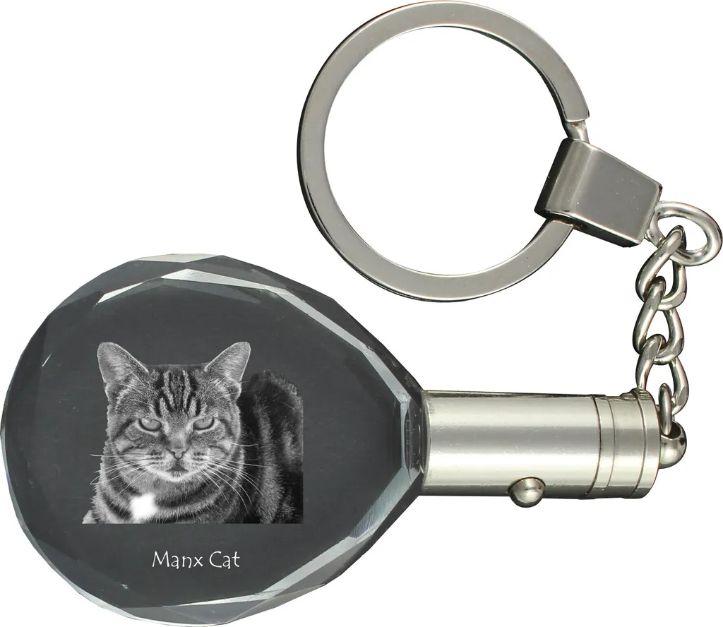 Offerta Portachiavi Art-Dog Gatto Manx - Cristallo 3D e LED