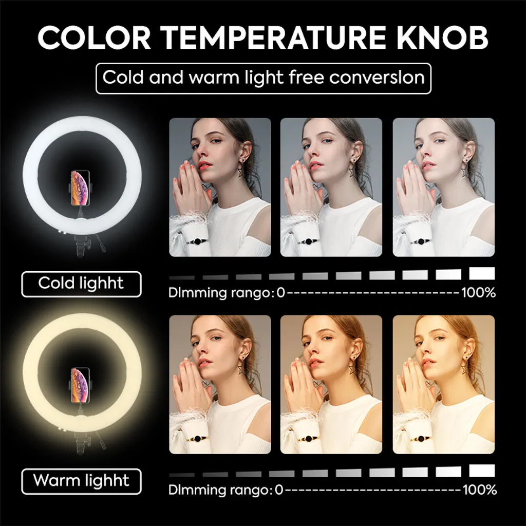 Ring Light LED 19 pouces bicolore avec support flexible pour vidéo