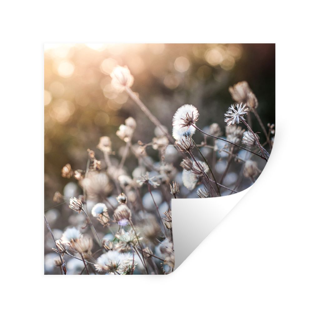 MuchoWow Wandtattoo Wandsticker Wandaufkleber Blumen - Sonne - Sepia 80x80 cm Selbstklebend und Repositionierbar - Wierderverwendbar - Selbstklebend