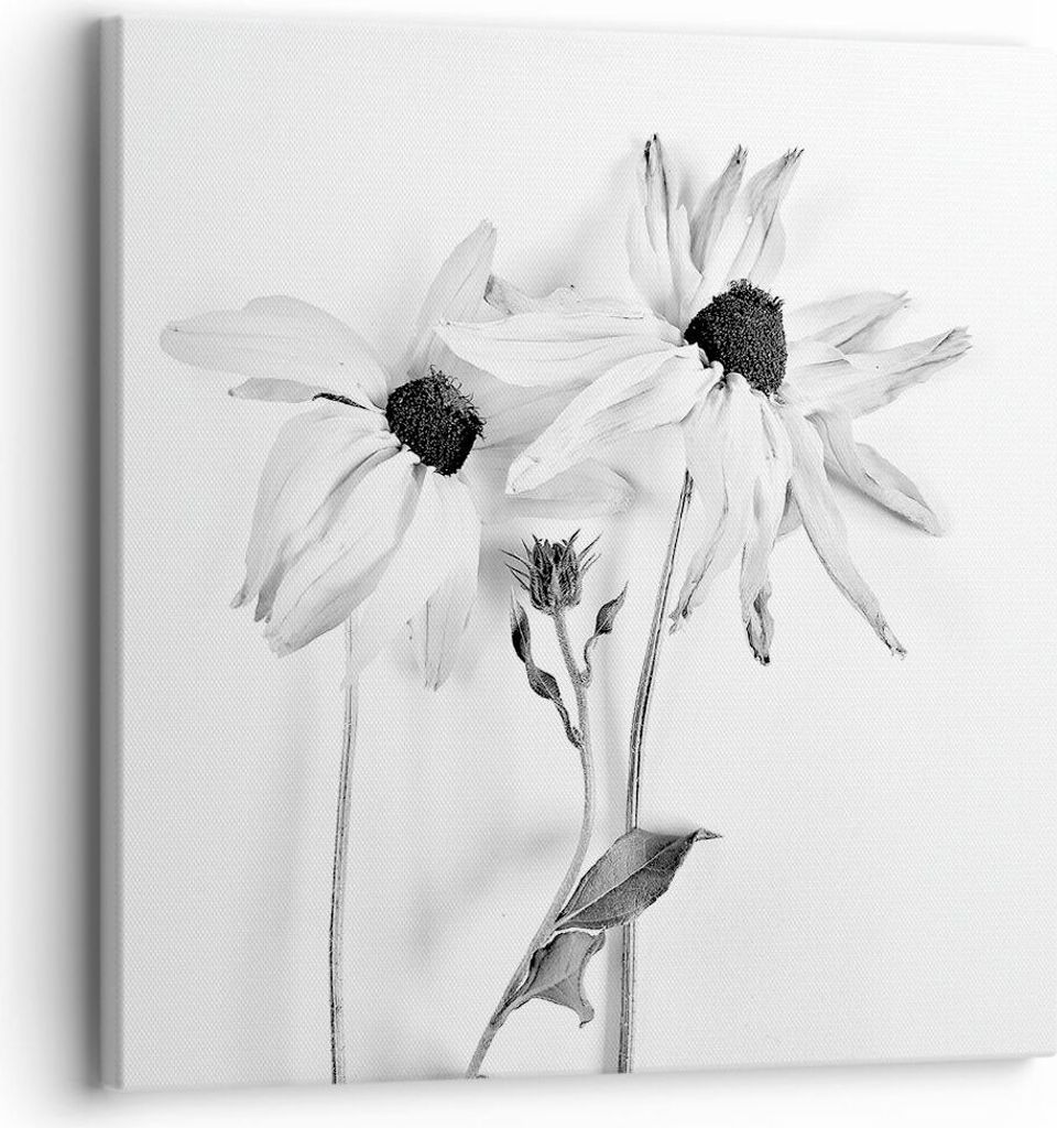 Bild auf Leinwand - Leinwandbild - Einteilig - Verwelkt Blumen Monochrom - 30x30cm - Wand Bild - Wanddeko - Wandbilder - Leinwanddruck - Bilder - W...