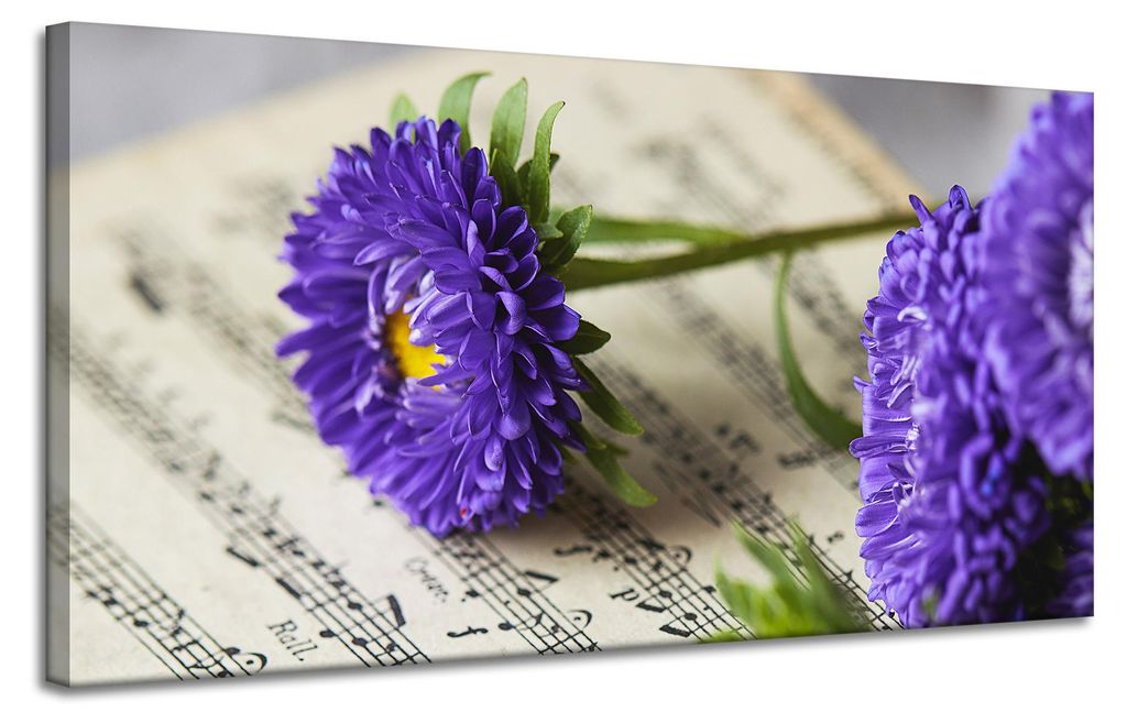 Leinwanddruck „Musikblume auf der Partitur“ 120x60