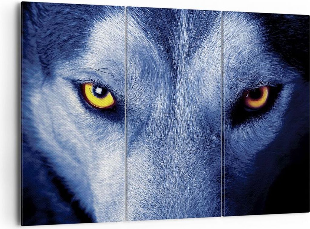 Bild auf Leinwand - Leinwandbild - 3 Teile - Schau der Wolf Augen - 165x110cm - Wand Bild - Wanddeko - Wandbilder - Leinwanddruck - Bilder - Wandde...