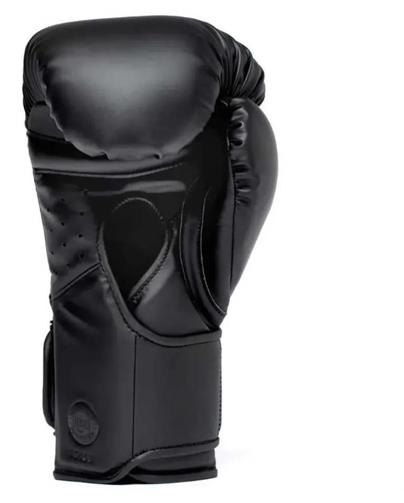 Gants de Boxe Professionnels Elite 2 Pro HL Noir 16oz avec Coque Renforcée