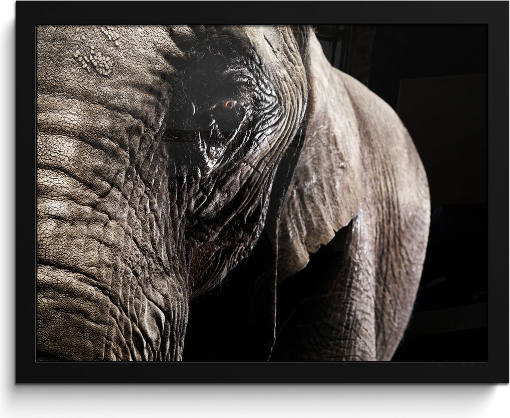 MuchoWow® MuchoWow® Gerahmtes Poster Elefant - Tiere - Produktbild 