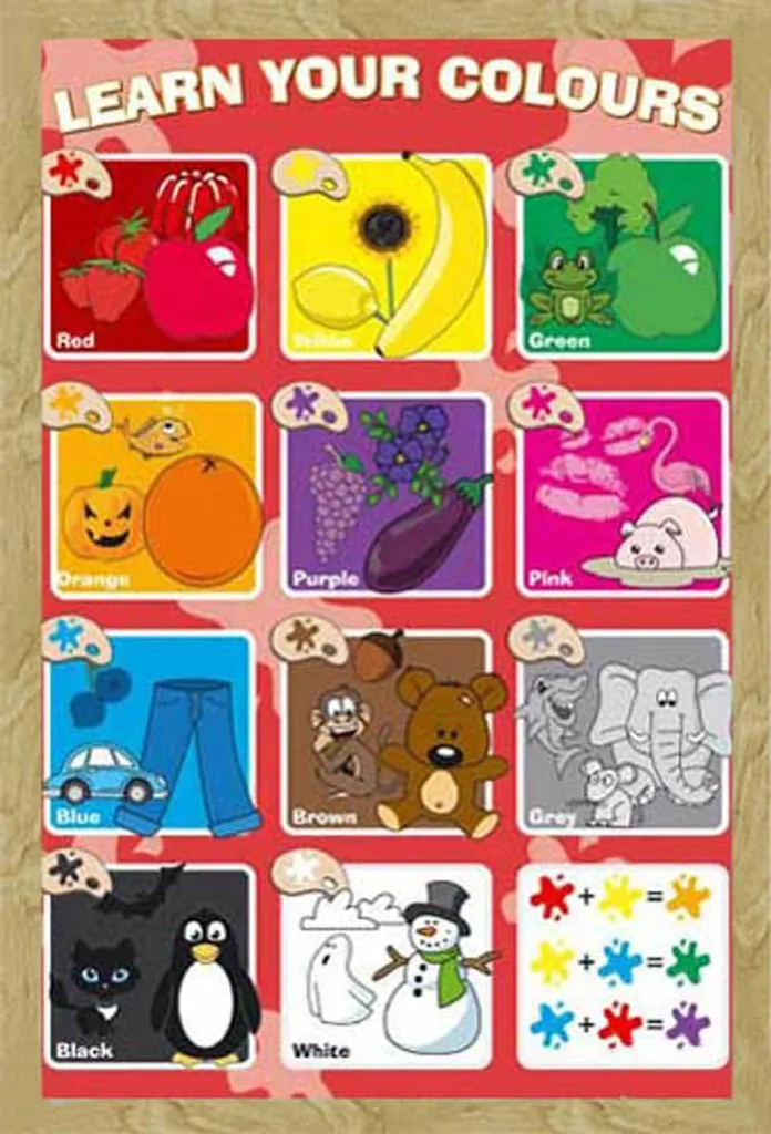 Affiche éducative couleurs encadrée Shinsuke® en bois hêtre et plexi