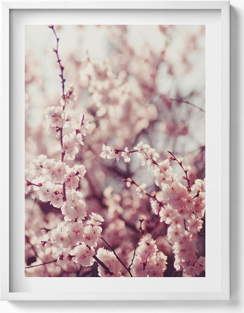 Schöne Frühlingsblumen an einem Baum– Wandbild mit Rahmen – Gerahmtes Bild – Wanddekoration – 60x80 cm – Weiß Rahmen