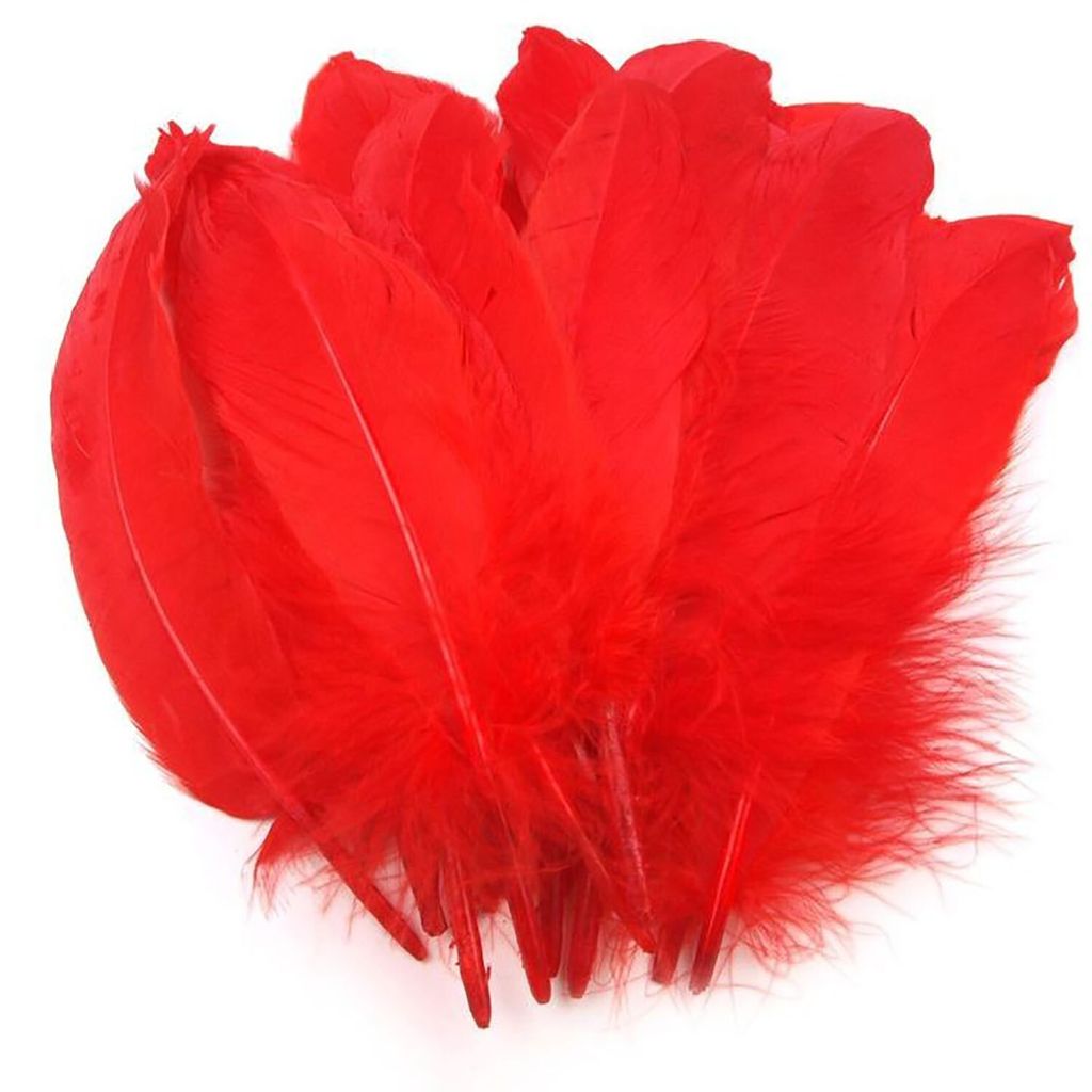 20 Entenfedern 15-21cm Bastelfedern Federn Dekofedern f. Hüte Kostüme Basteln