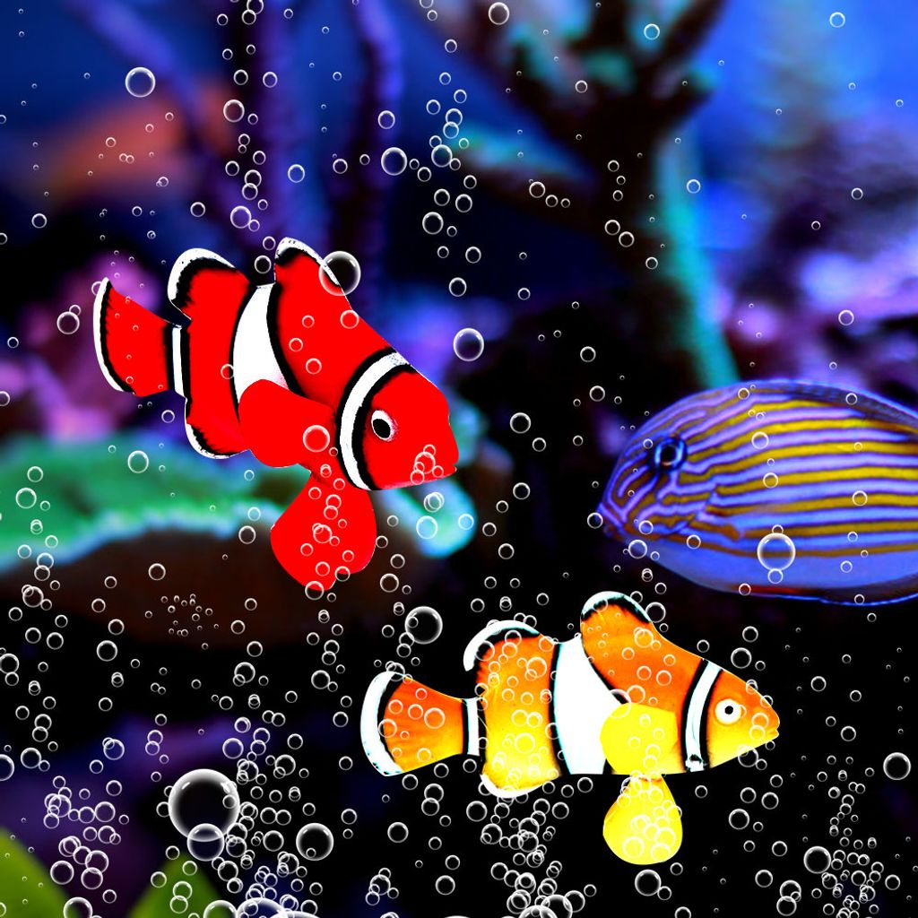 Poisson-clown bionique, poisson bionique, poisson-clown Image du produit 