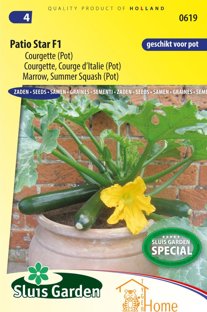 Semi di zucchina Patio Star F1 - coltiva zucchine compatte Immagine del prodotto 