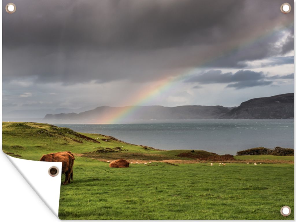 MuchoWow 80x60 cm Outdoor-Poster Gartendeko Sichtschutz Garten Poster für den Garten Schottische Highlander - Gras - Wolken