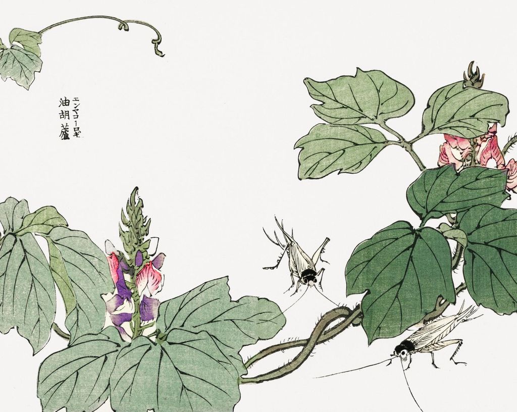 Plakat 76x60,5cm Blatt und Blume Morimoto Toko Japanisch Vintage für das Wohnzimmer