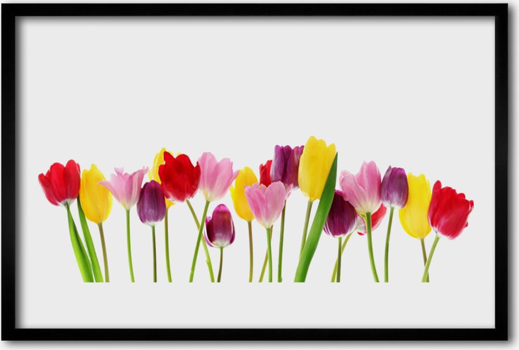 Bild 60x40 MDF-Rahmen Wandkunst Tulpen Blumen Pflanze