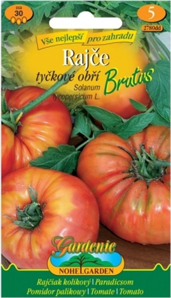 Tomate géante BRUTUS Image du produit 