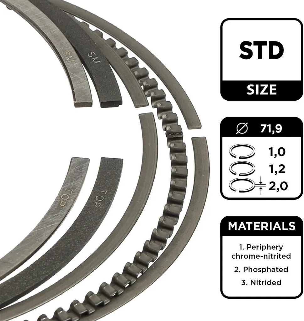 Segments de Piston pour Réparation Moteur FORD Focus III et Fiesta Mk6