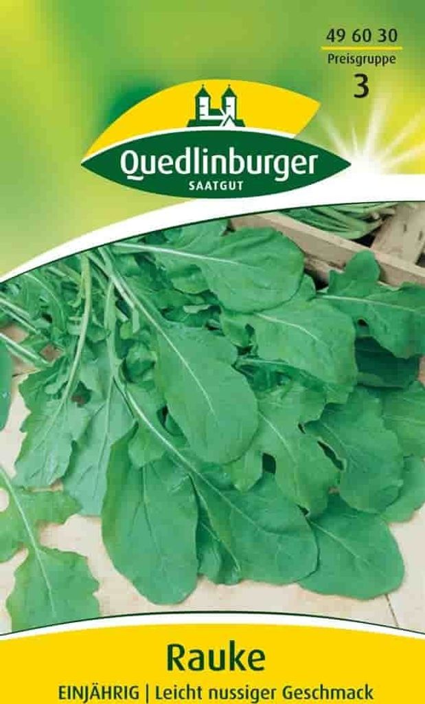 Rauke Einjährig Quedlinburger Salatsamen Produktbild 