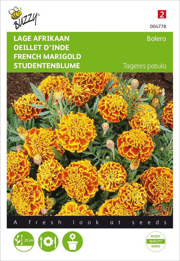 Tagetes Patula Nana Bolero | Tagetessamen von Buzzy Seeds