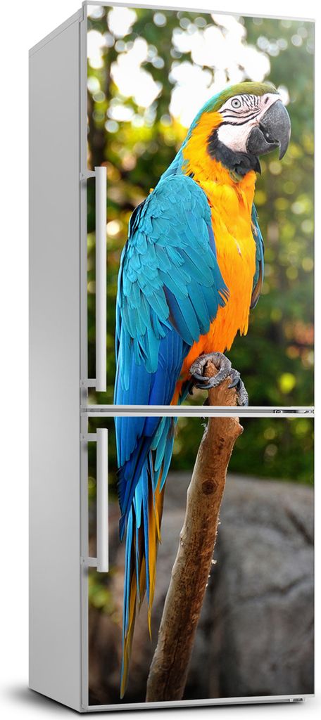 Tulup Kühlschrankdekoration - 70x190 cm - Aufkleber auf dem Kühlschrank - Ara Papagei