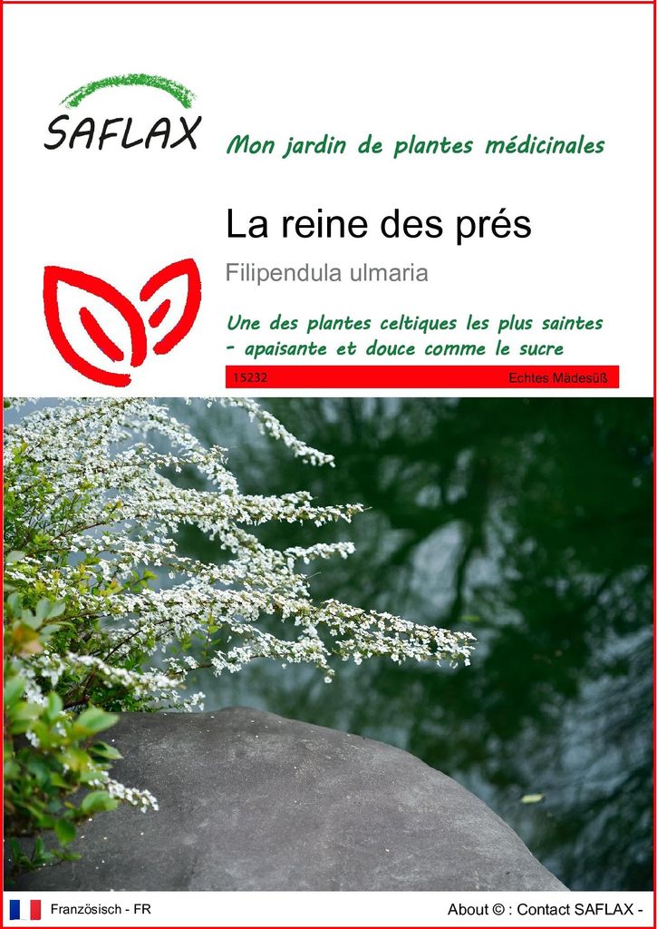 SAFLAX  - La reine des prés - 500 graines - Filipendula Image du produit 