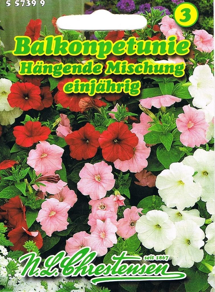 Balkonpetunie Mischung  | Petuniensamen von N.L. Produktbild 1