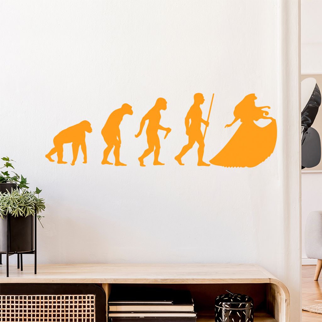 Prinzessin Evolution Wandtattoo Wandaufkleber Wall Sticker - Dekoration, Küche, Wohnzimmer, Schlafzimmer, Badezimmer