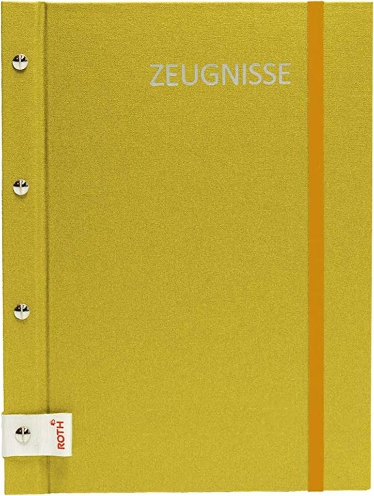 Roth 88565 Cartella portadocumenti - 12 buste, oro Immagine del prodotto 