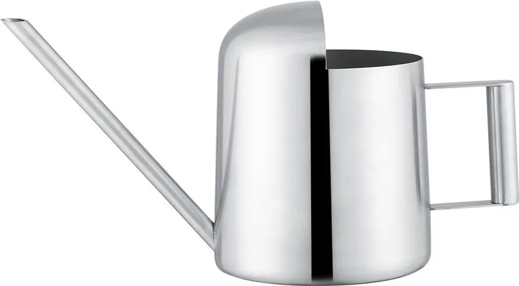 Arrosoir à long bec pour bonsaïs en inox 300 ml : arrosage chirurgical