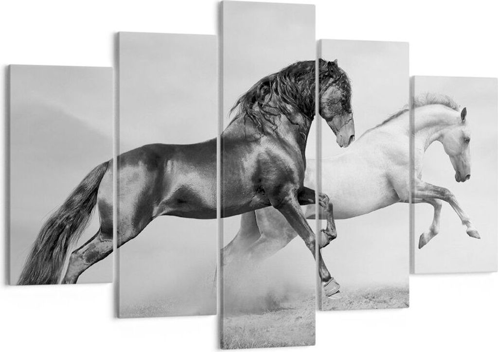 Bild auf Leinwand - Leinwandbild - Pferde Tiere Galopp Wiese - 150x100cm - Wand Bild - Wanddeko - Leinwanddruck - Bilder - Kunstdruck - Wanddekorat...