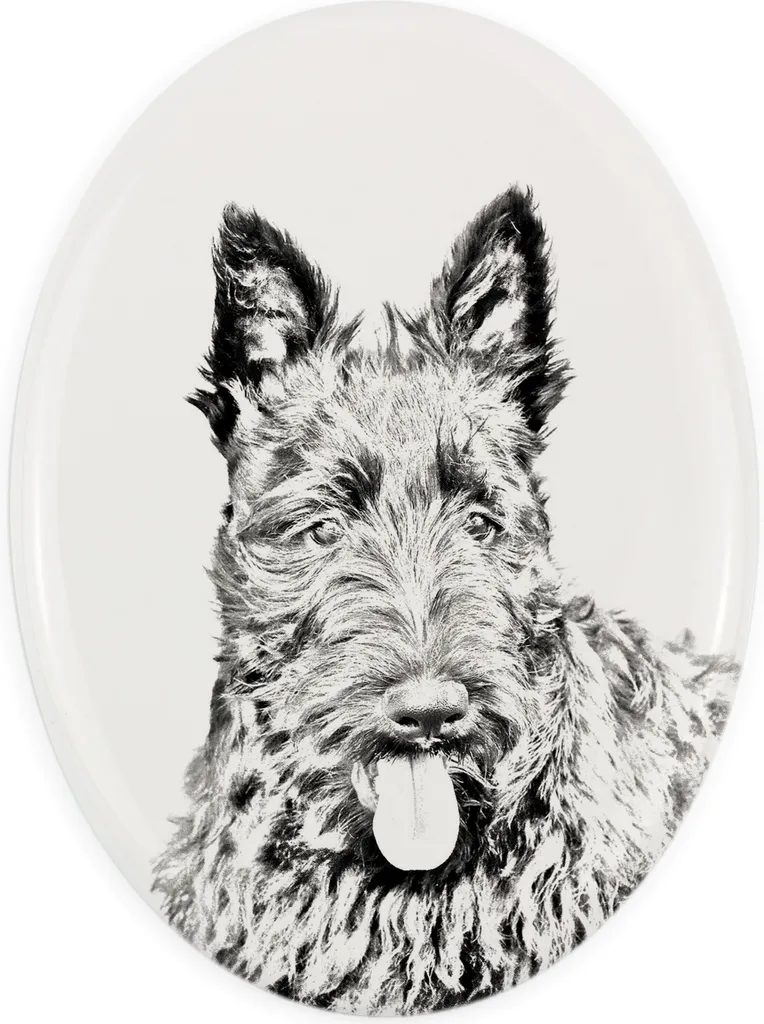 Lapide per Cani Art-Dog Scottish Terrier - Targa Ovale Esterno