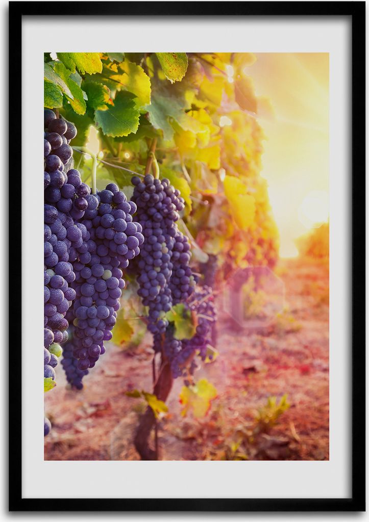 Bild - Bilderrahmen - Foto - 70 cm x 100 cm - MDF - Rahmen - Wandkunst - Weinberg