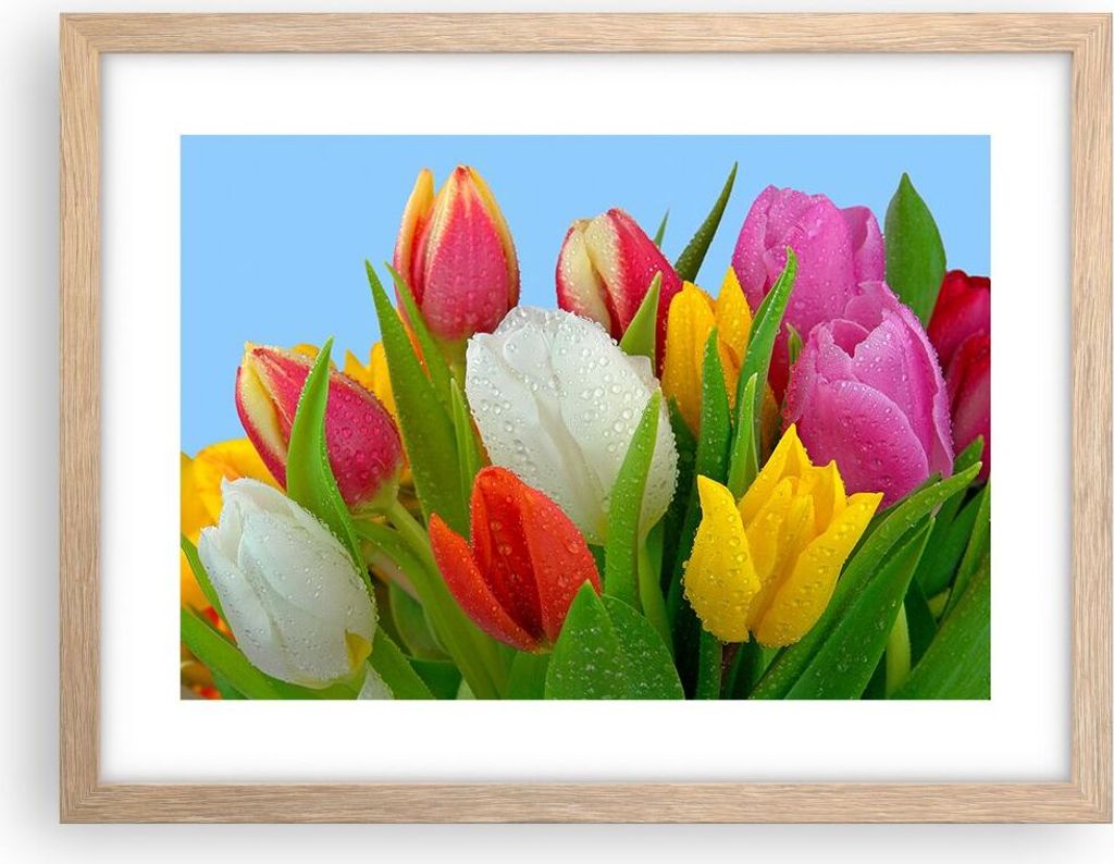 Gerahmtes Poster - Rahmen in heller Eiche - Tulpen Produktbild 