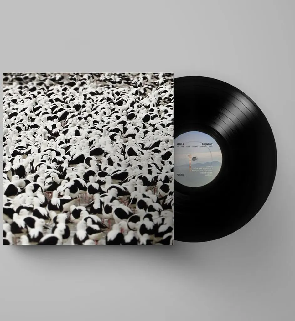 Vinyle Stella Donnelly Flood LP : Retrouvez le Son Analogique Authentique
