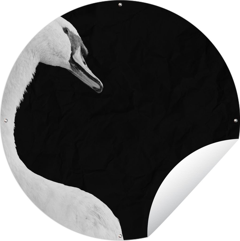 MuchoWow Gartenposter Outdoor-Poster Rund Nahaufnahme weißer Schwan - schwarz und weiß Ø 90 cm Gartendeko Rundes Poster draußen