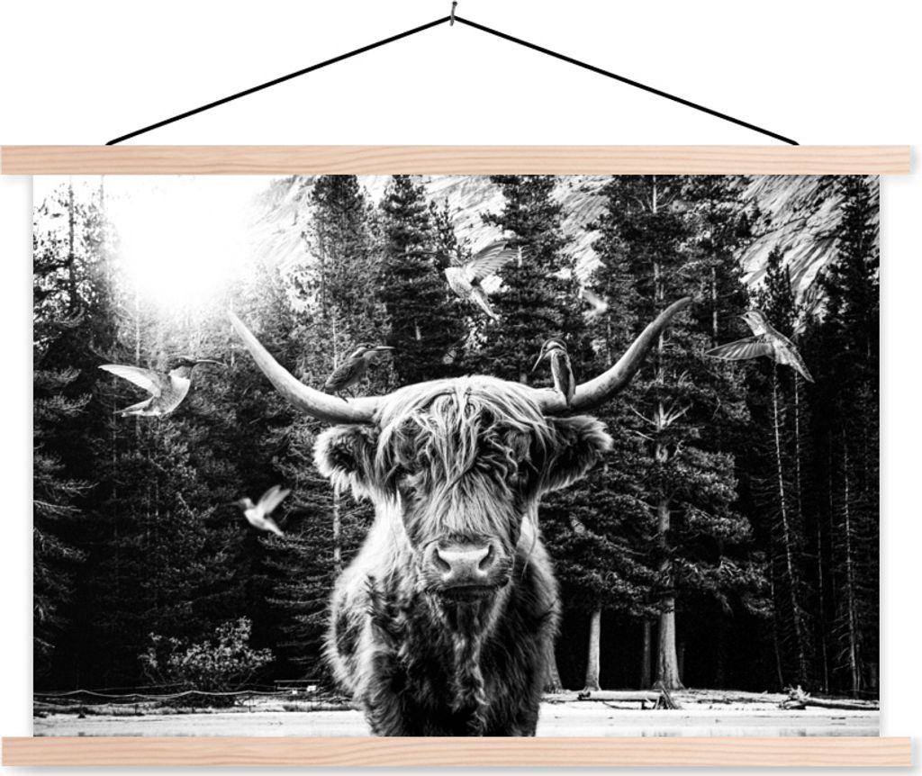 MuchoWow Textilposter Scottish Hochlandrind - Kolibri - Schwarz - Weiß 60x40 cm mit holzfarbenen Rahmen - Bilder
