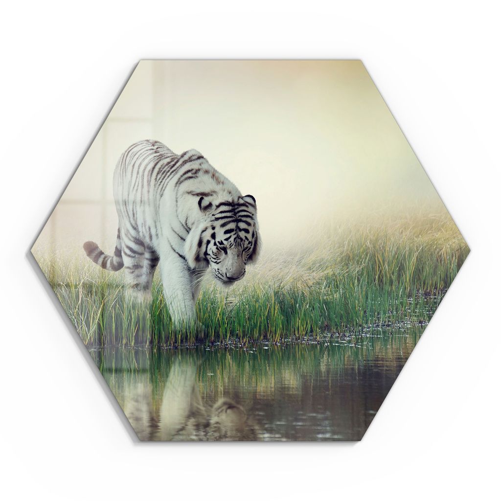 DEQORI Glasbild Echtglas 55x48 cm 'Flüsternder Geist' Wandbild Bild modern Deko