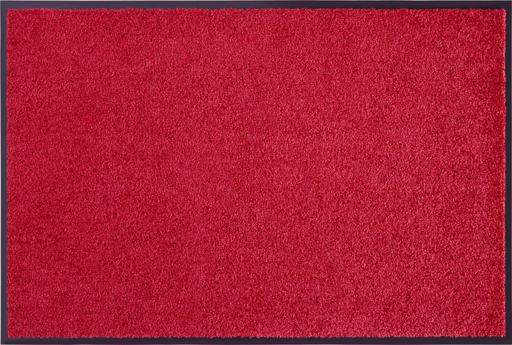 Paillasson d'Intérieur Bordeaux pour Entrée Propre Wash & Clean 40x60