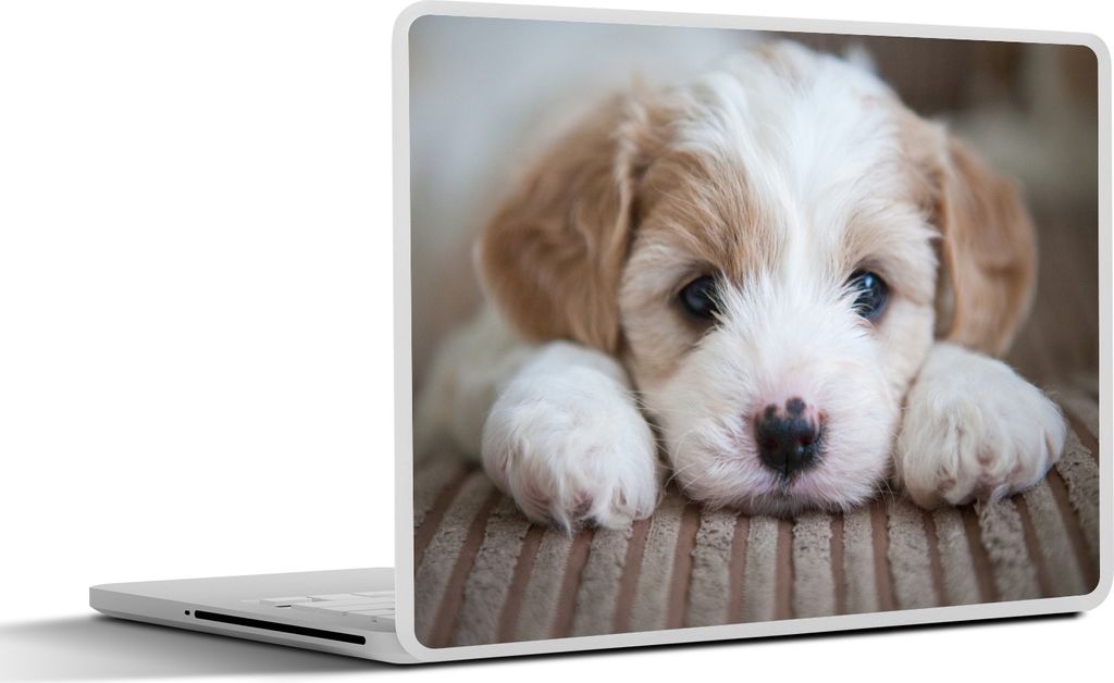 MuchoWow Laptop Aufkleber Sticker Cover Nahaufnahme eines Cavachon-Welpen 40x30 cm - Laptop Dekoration - Selbstklebend