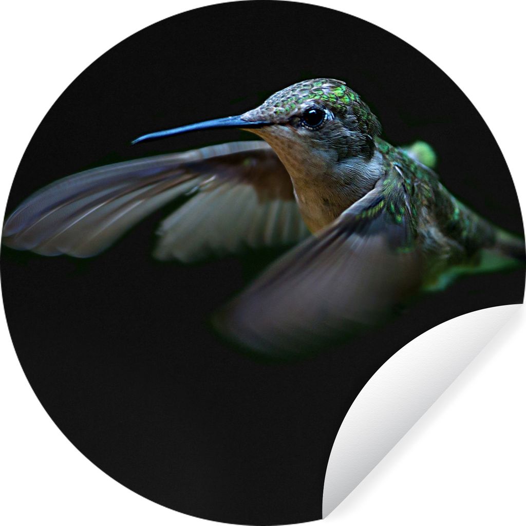 MuchoWow Runde Wandtattoo - Wandsticker Tapete Aufkleber Kolibri - Federn - Schwarz Ø 30 cm Selbstklebend und Repositionierbar - Wandaufkleber -...