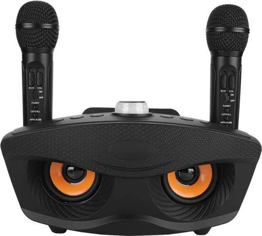 Kit Karaoké Sans Fil avec 2 Micros Noirs - Système Audio pour Téléviseur