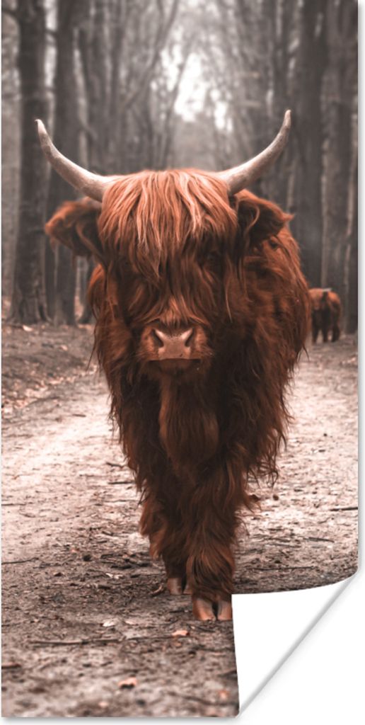 MuchoWow Poster Schottischer Hochländer - Wald - Kuh - Tiere - Natur 60x120 cm - Wandschmuck