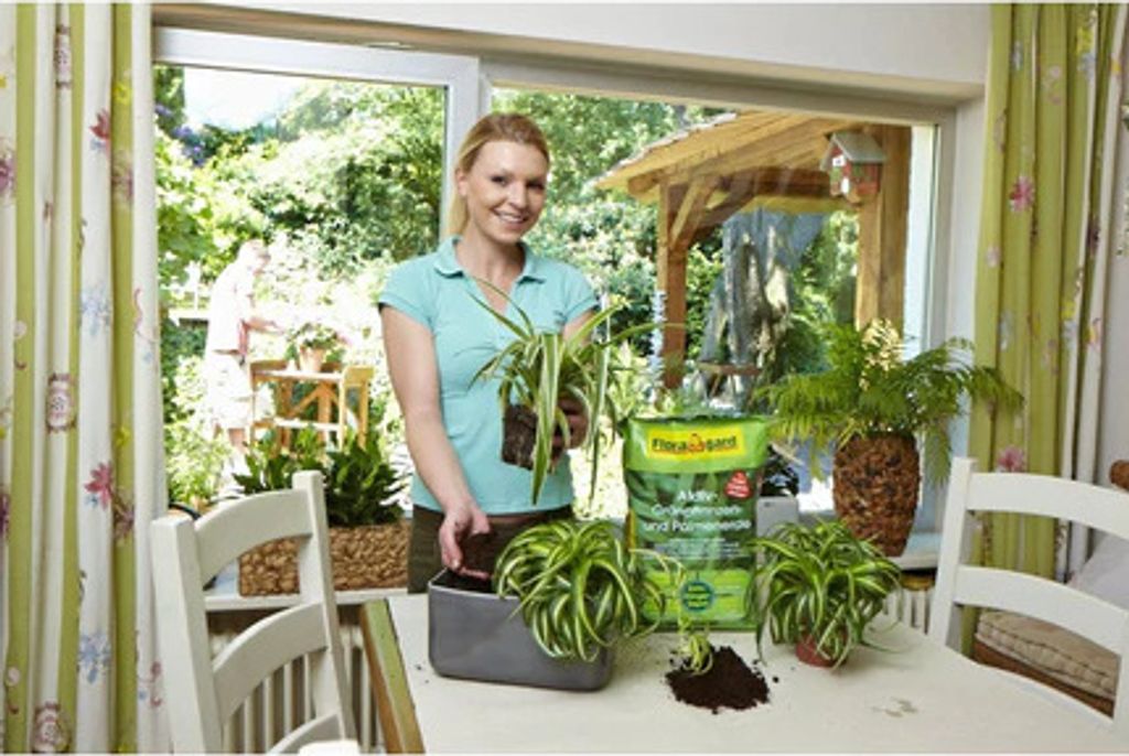 Floragard® Aktiv - Grünpflanzen- und Palmenerde 20 Liter Produktbild 5