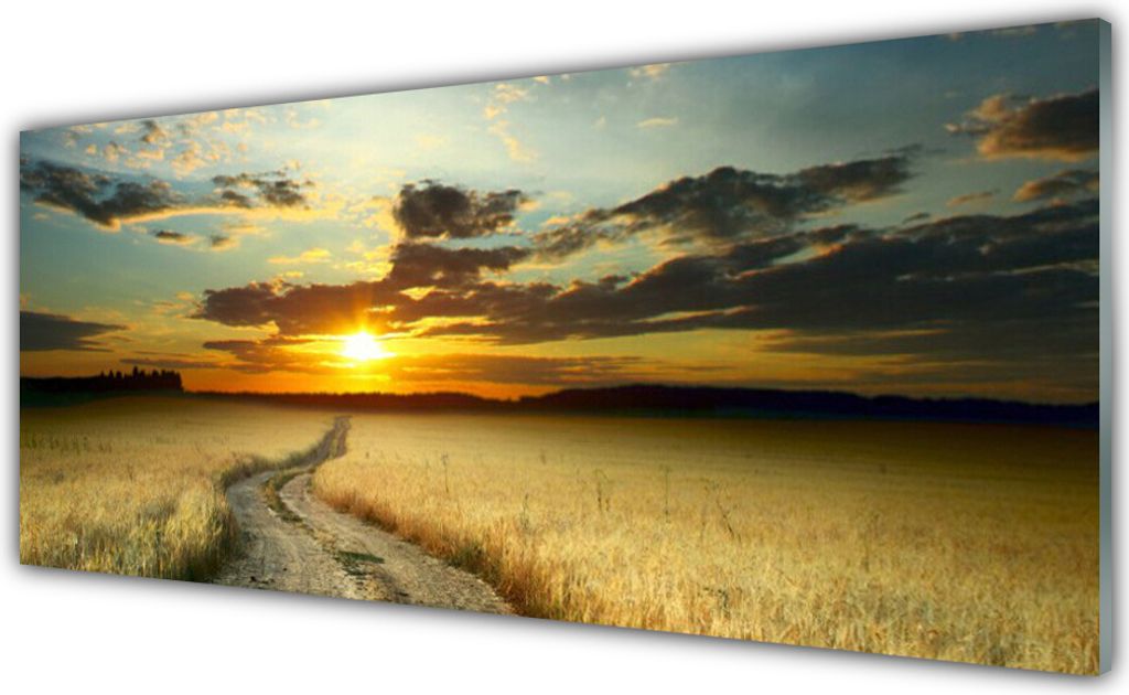 Acrylglasbilder 125x50 Wandbild Druck Weg Wiese Landschaft
