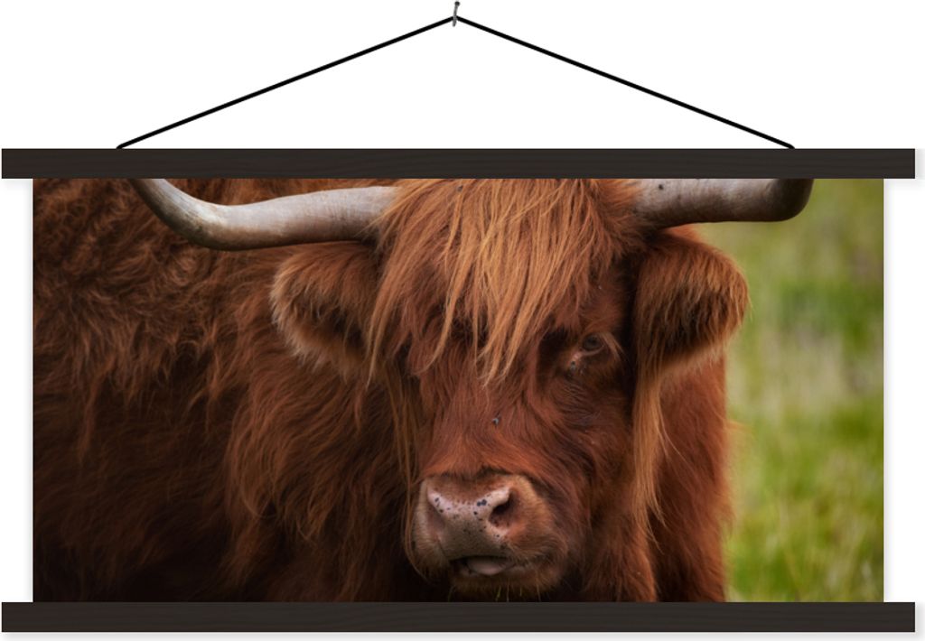 MuchoWow Textilposter Schottisches Hochlandrind - Orange - Tiere 90x45 cm mit schwarzem Rahmen - Klemmleisten