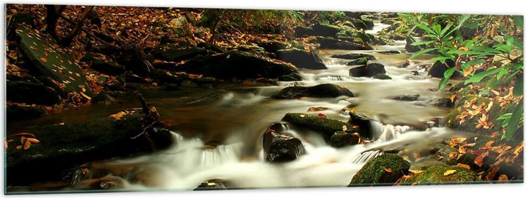 Bilder auf glas - Bäume Strom Felsen - 160x50cm - Glasbilder - Wandbilder - Kunstdruck - zum Aufhängen bereit - Wanddekoration aus Glas - Glas Bi...
