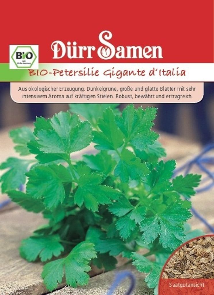 Petersilie Gigante d'Italia | -Petersiliensamen von Dürr Samen