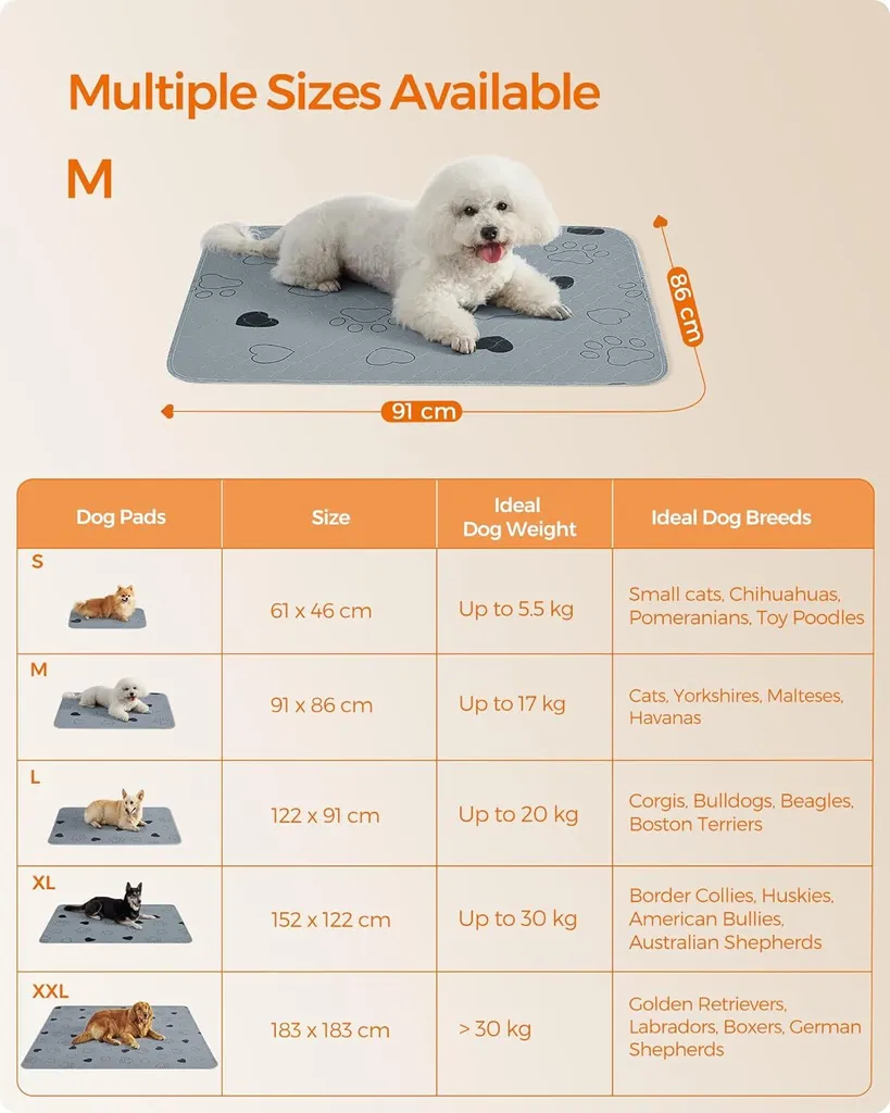 Solution Incontinence Chien Alaise Réutilisable et Imperméable M Gris - 8